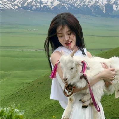 借借妳人生封面
